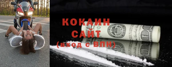 ГАЛЛЮЦИНОГЕННЫЕ ГРИБЫ Горняк