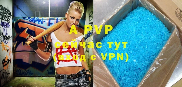 ГАЛЛЮЦИНОГЕННЫЕ ГРИБЫ Горняк