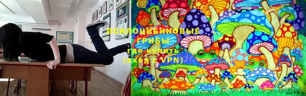 марки nbome Горнозаводск