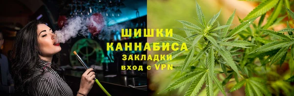 ГАЛЛЮЦИНОГЕННЫЕ ГРИБЫ Горняк