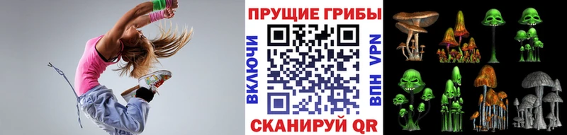 Псилоцибиновые грибы Psilocybine cubensis Лысково